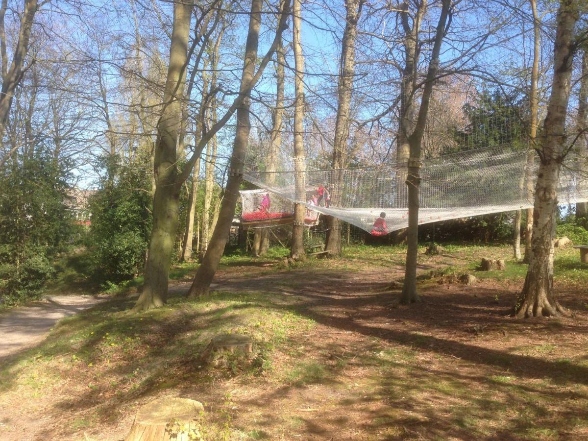 Woody Park