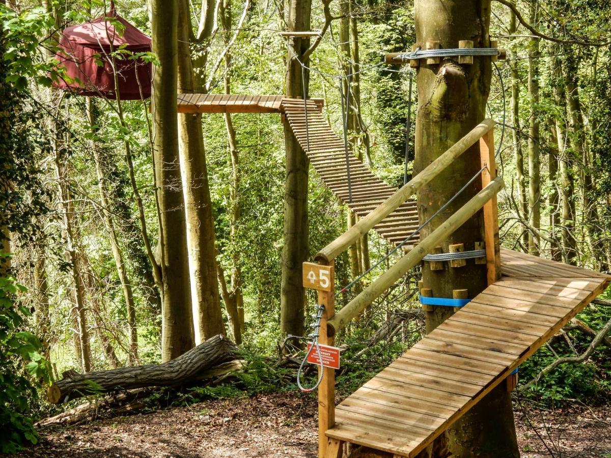 Woody Park *
